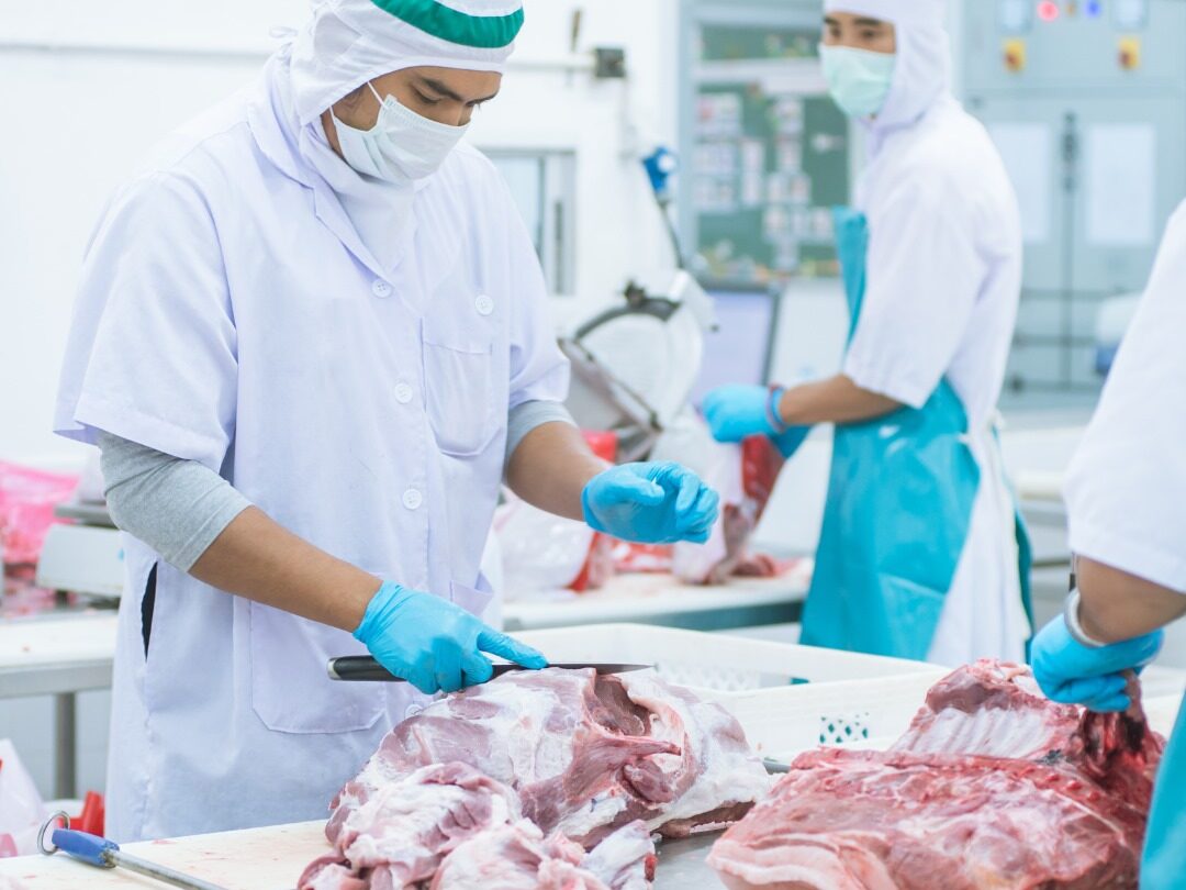 Mato Grosso exportou mais de 143 mil toneladas de carne somente em janeiro, aponta Secex
